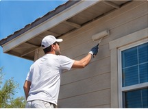 Professional exterior house painting